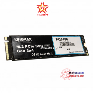 Ổ cứng SSD Kingmax M.2 2280 PCIe 256GB PQ3480