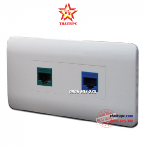 Mặt nạ 2 port Dintek Wallplate