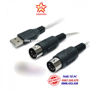 CÁP USB 2.0 -> 2 MIDI organ